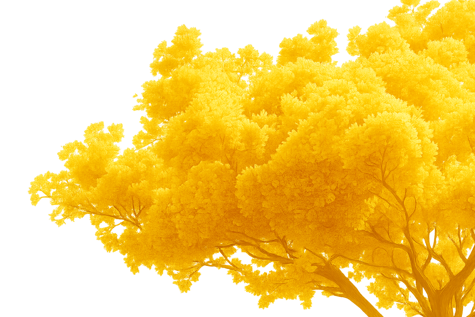 Golden autumn tree representing growth and sustainability